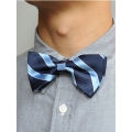 Bow Tie (Blue/Light Blue Strap)